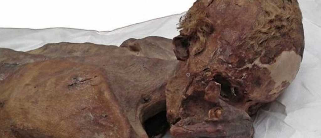 Hallaron en Jujuy restos humanos de más de 8 mil años