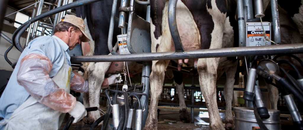 &iquest;Qu&eacute; es el "Mercado Futuro de la Leche" que tendr&aacute; Argentina?