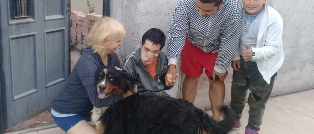 Video: el encuentro entre un chico discapacitado y su perra adiestrada 