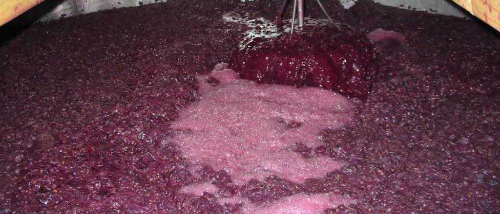 Qu&eacute; es la "fermentaci&oacute;n diferida" que genera pol&eacute;mica en Mendoza