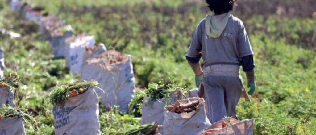 Detectaron trabajo infantil en distintas zonas de Mendoza