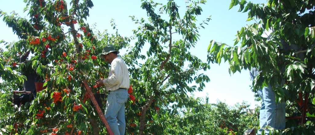 Exportación de cerezas mendocinas: "Bendición" de dos funcionarios nacionales
