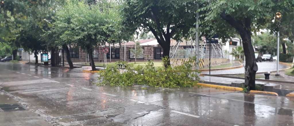 Pronostican fuertes tormentas para esta noche en Mendoza