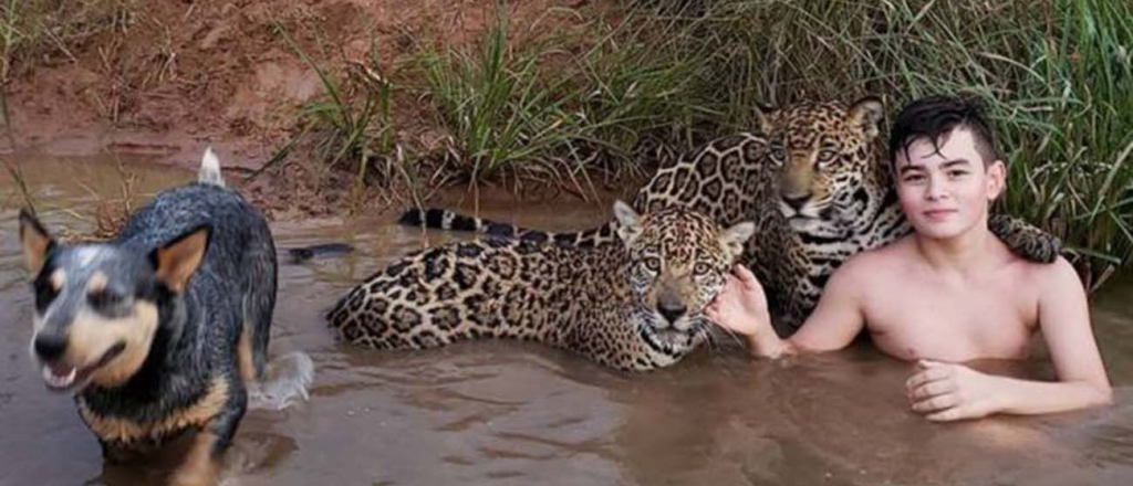 Toda la verdad sobre la foto del niño jugando con dos jaguares
