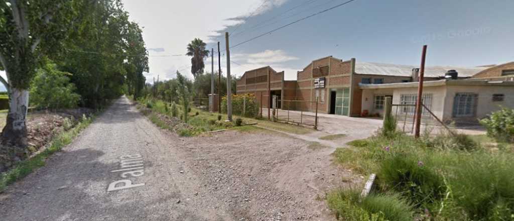 Denuncian a un criadero de perros en Maipú por maltrato