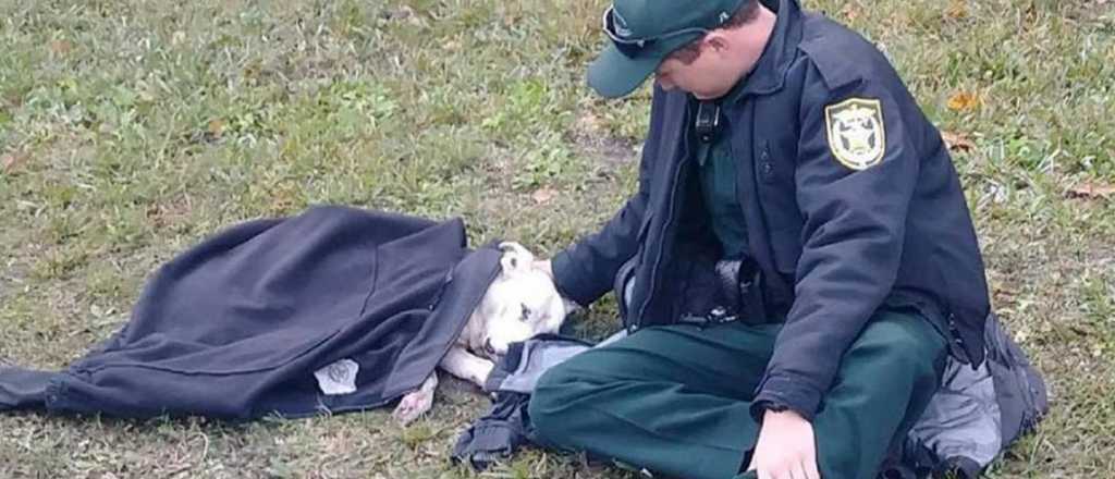 La foto de un policía abrigando al animal  se volvió viral