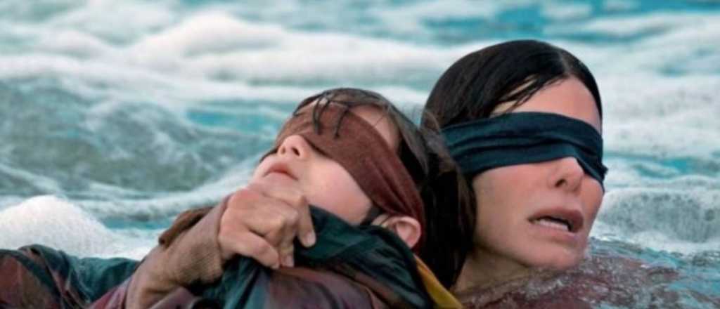 Por los accidentes, Netflix pidi&oacute; que dejen de hacer el "Bird Box Challenge"