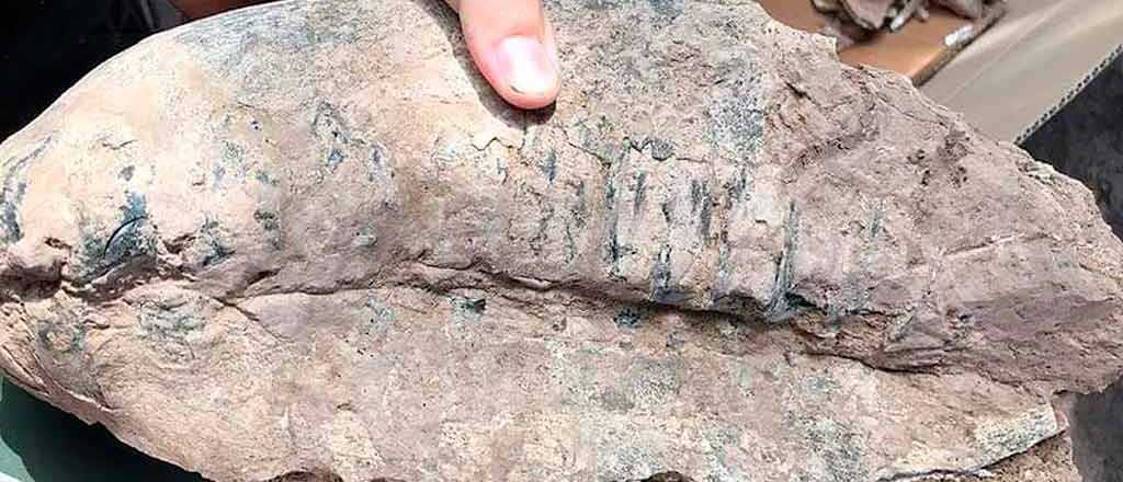 Un pescador encontr&oacute; un cr&aacute;neo de mam&iacute;fero de 40 mil a&ntilde;os en Rosario