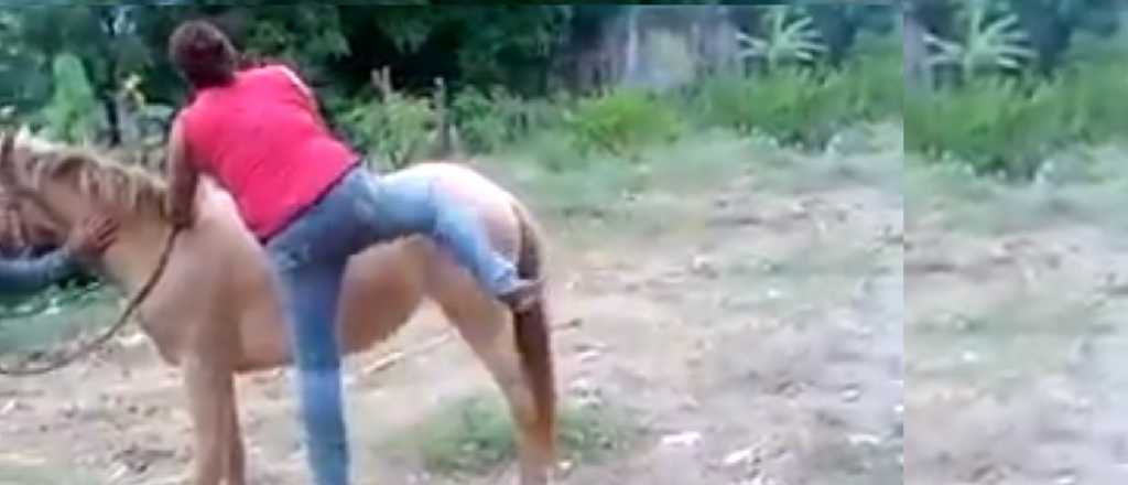 Video: la caída de una joven que no puede montar un caballo