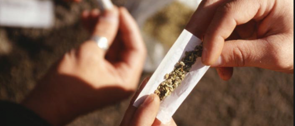 Los cambios que genera el cerebro de un adolescente por fumar marihuana