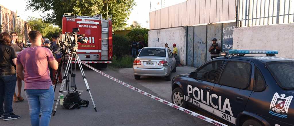 Los gatos y perros del israel&iacute; ser&aacute;n asistidos por veterinarios