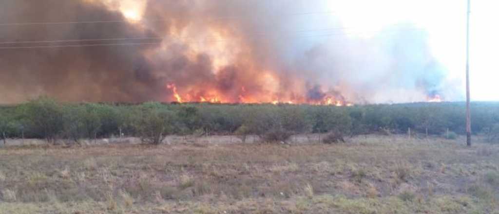 Grave incendio forestal en General Alvear
