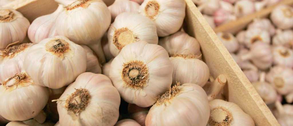 Crecieron las exportaciones de ajo en 2018