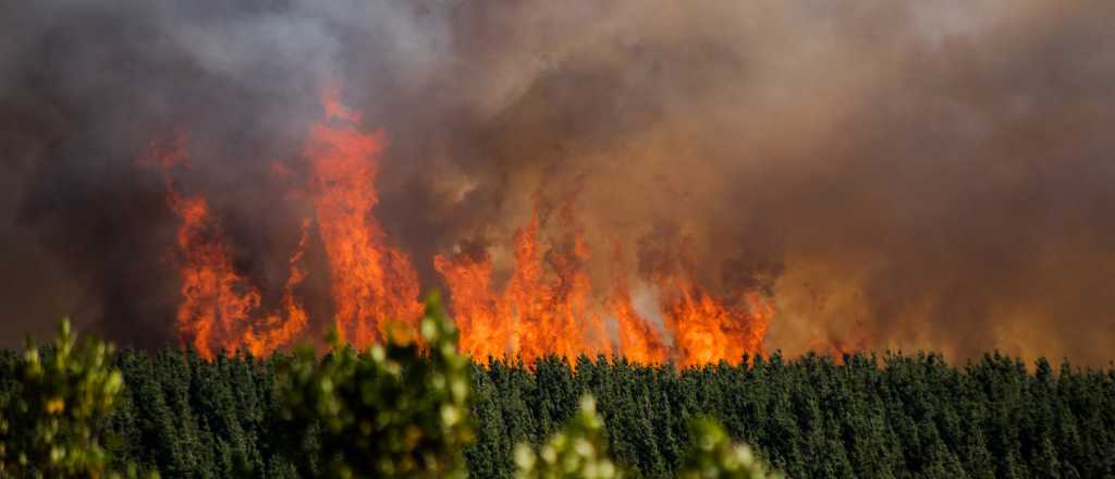 Más de 2 mil hectáreas consumidas por los incendios en Epuyén 
