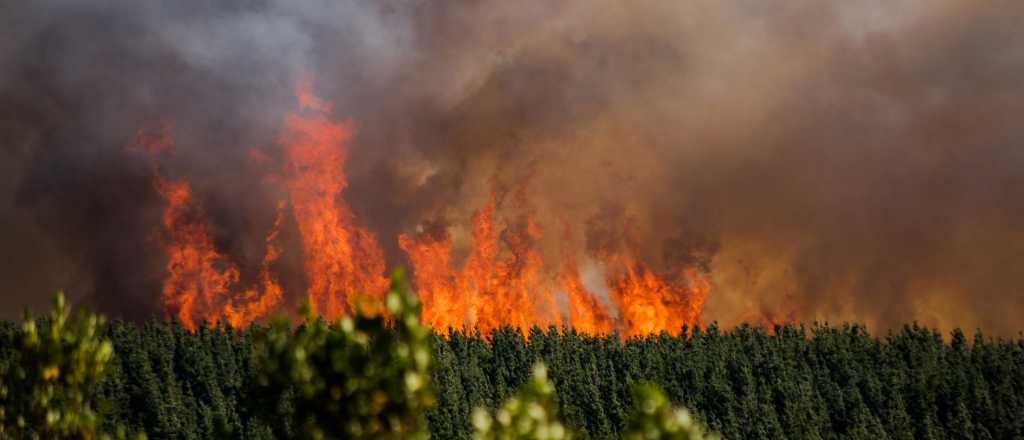 Más de 2 mil hectáreas consumidas por los incendios en Epuyén