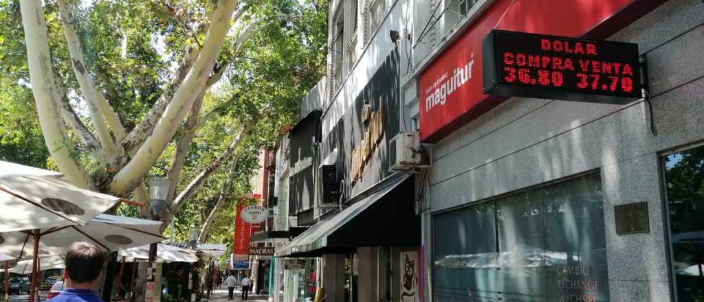 Dólar hoy: se desplomó en Mendoza y se mantiene en Buenos Aires