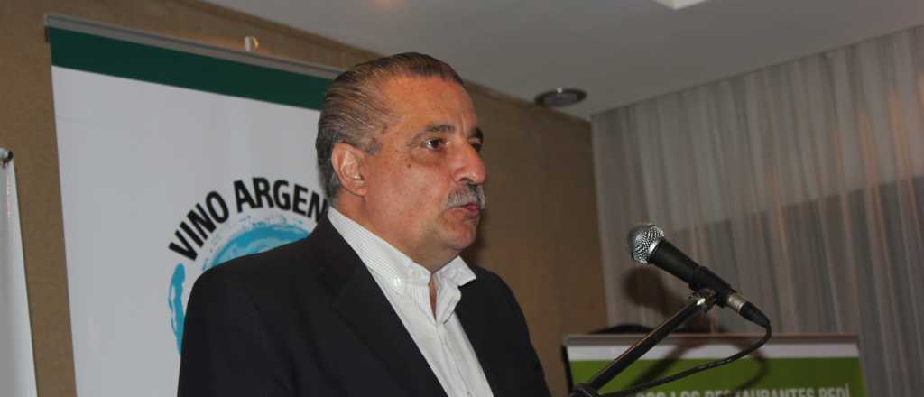 Mendoza recibió a cooperativas vitivinícolas de todo el mundo