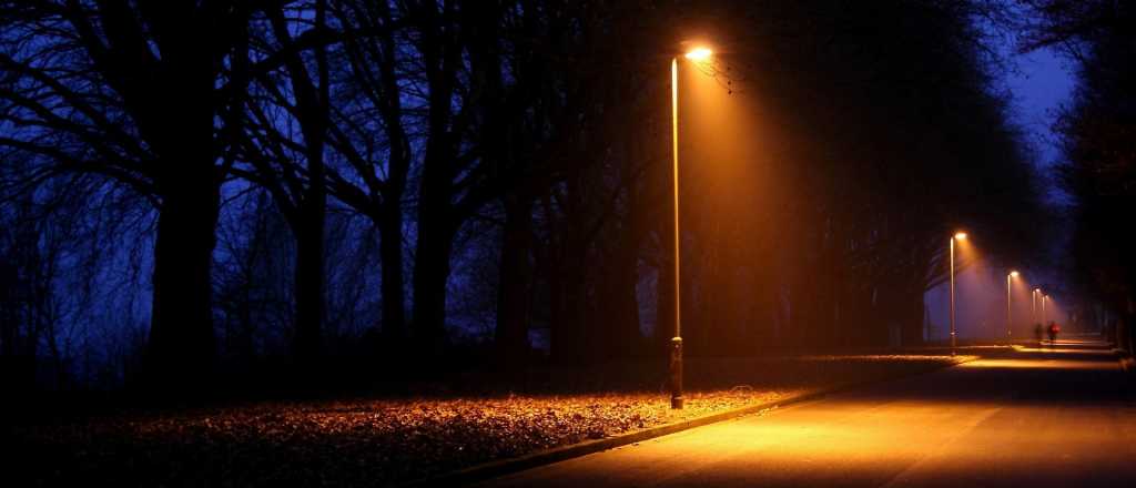 Mito o verdad: dicen que apareci&oacute; un lobiz&oacute;n en San Rafael