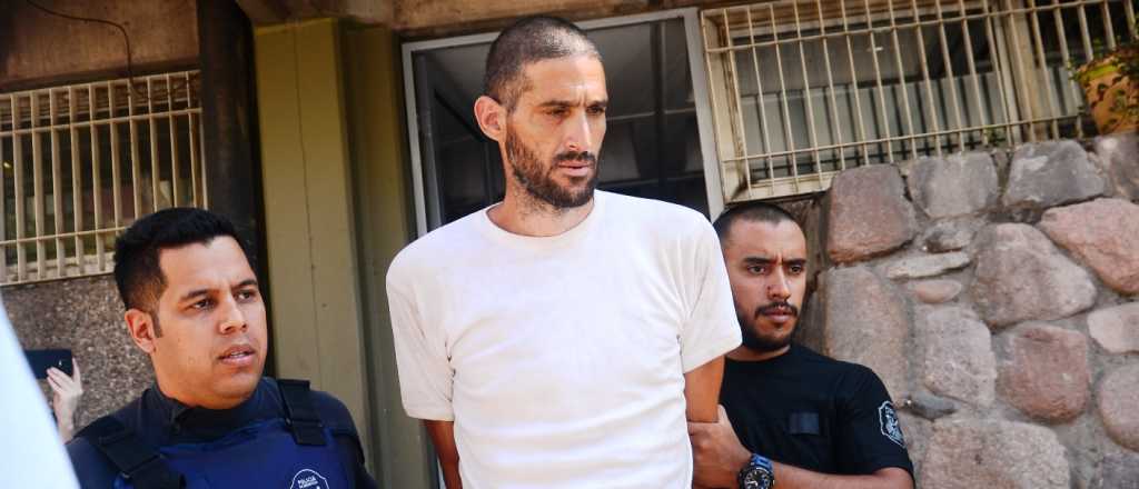 Gil Pereg insiste en que es un felino y que un "gato anciano" le salvó la vida