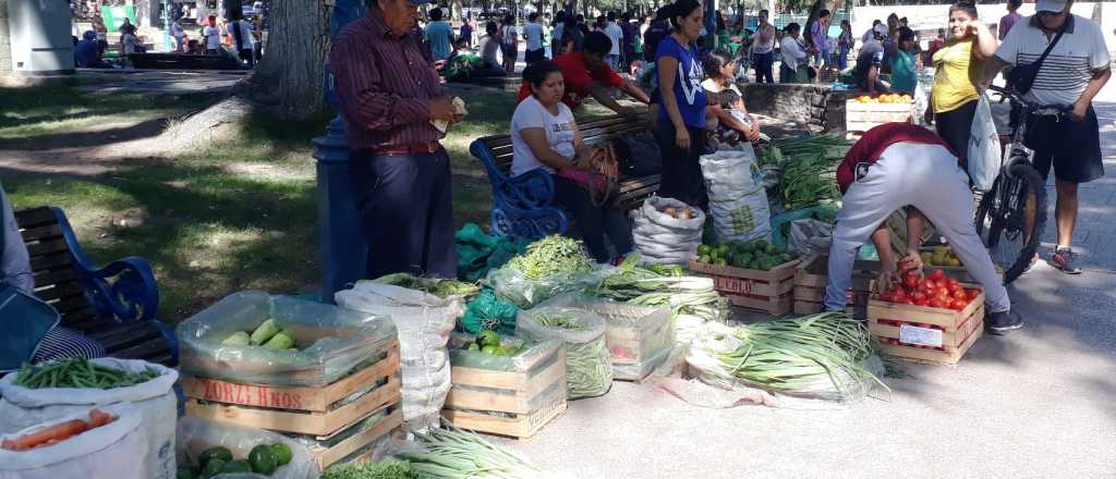 Nuevo "verdurazo" en la Plaza Independencia