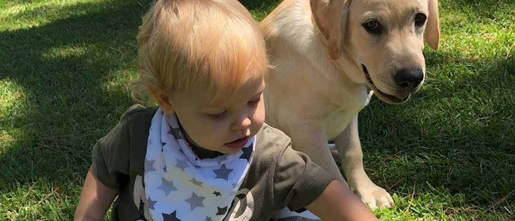 Video: así se divierte Mirko y su perro en las vacaciones 