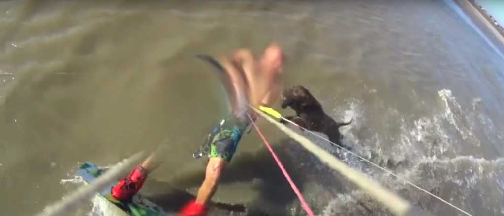 Video: practicaba kitesurf y lo mordió un pitbull