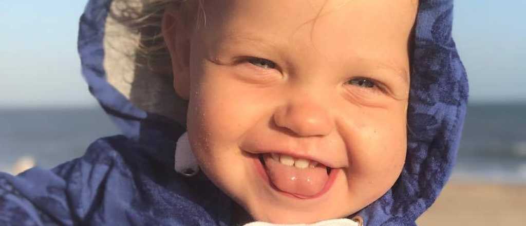 Video: la pol&eacute;mica frase pol&iacute;tica de Mirko contra Macri