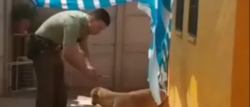 Video: rescató a un perro atrapado y así le agradeció