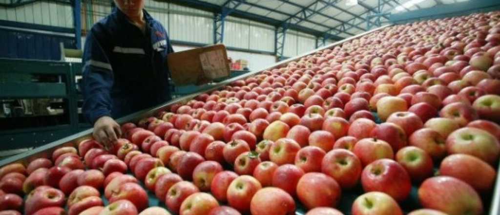 Afip extiende beneficios para productores de peras y manzanas