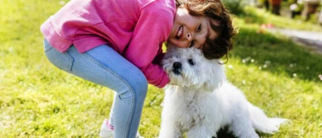 Perdi&oacute; a su perro y lo busca con este emotivo cartel