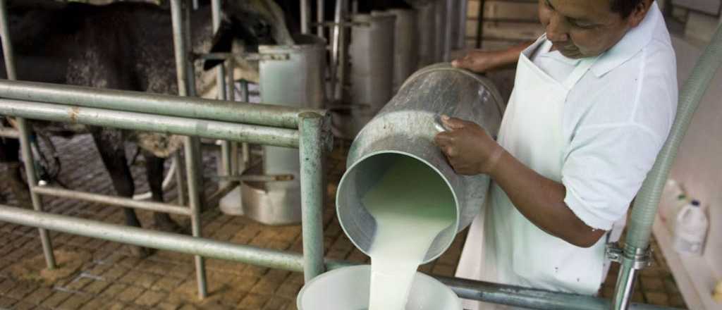 La producción lechera local no consigue insumos importados fundamentales 