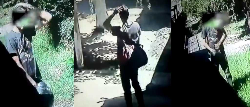 Videos: se masturbó en la calle y se tapó con un casco