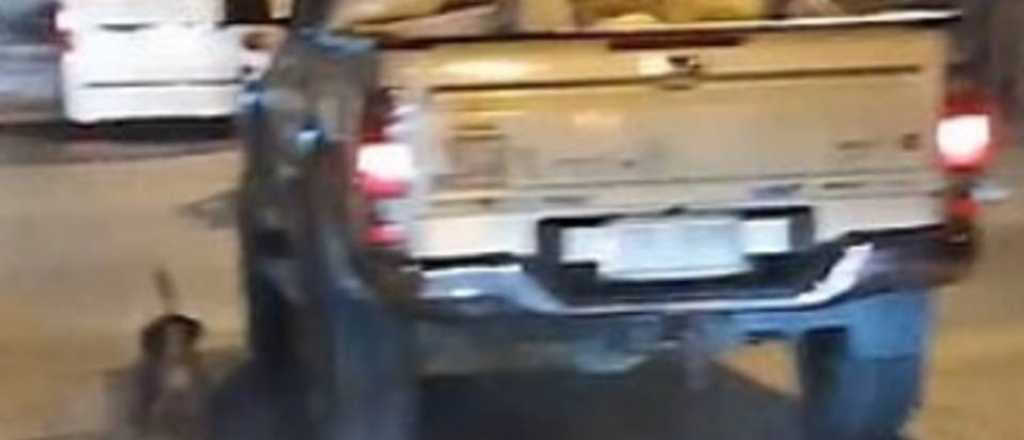 Video: un perro persigui&oacute; a su due&ntilde;o luego de ser abandonado