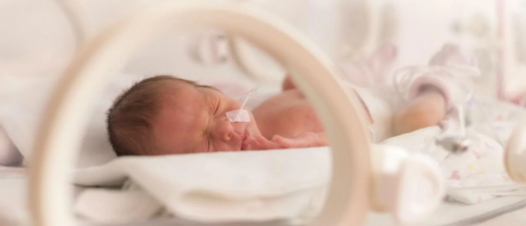 Chequeado analiz&oacute; la afirmaci&oacute;n de beb&eacute;s con coca&iacute;na en Mendoza