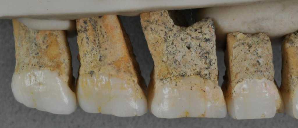 Hallaron f&oacute;siles que corresponder&iacute;an a una nueva especie humana