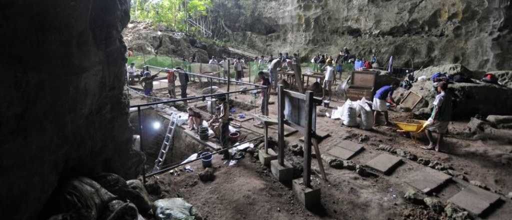 Hallaron f&oacute;siles que corresponder&iacute;an a una nueva especie humana