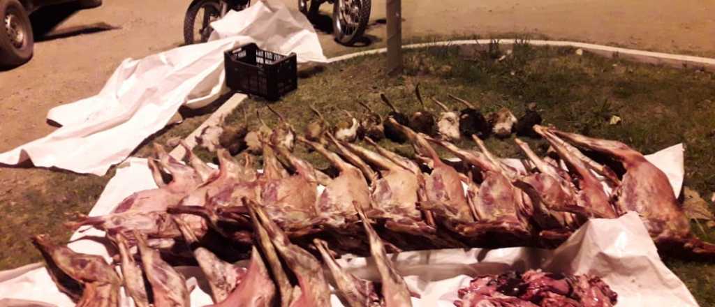 Secuestraron más de 15 cabras faenadas en San Rafael