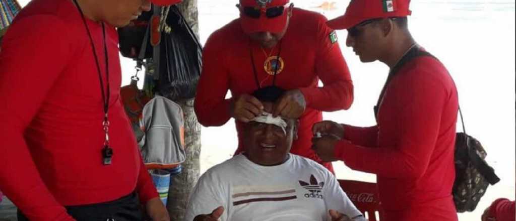 Un ejambre de abejas atac&oacute; a los fieles durante un Via Crucis en M&eacute;xico