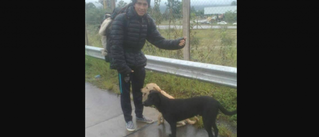 De Jujuy a Mendoza a dedo por amor a sus perros