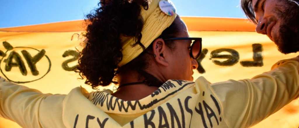 Uruguay reglament&oacute; la ley Trans