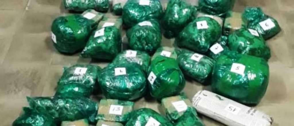 Gendarmería decomisó 50 kilos de hojas de coca en la Terminal de Mendoza