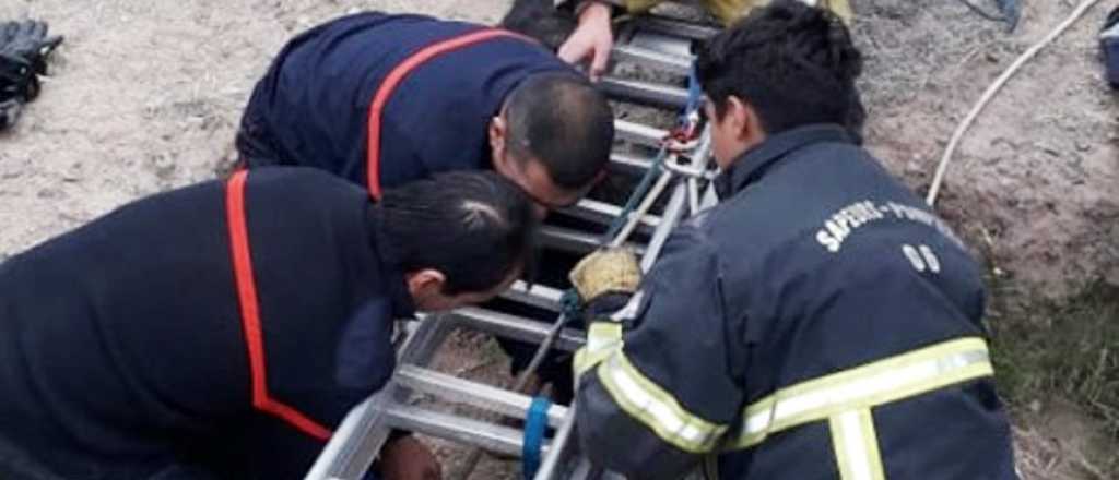 Video: bomberos de Luján rescataron a un perrito que cayó a un pozo