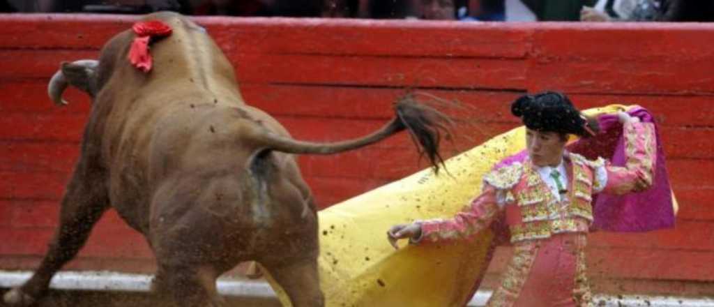 Video: un toro le destrozó la cara a una torera mexicana