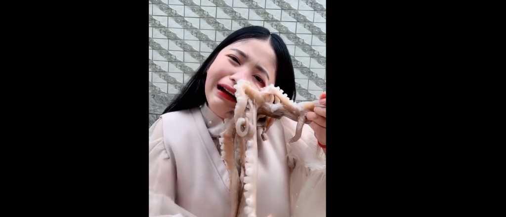 Video: intent&oacute; comerse vivo un pulpo y as&iacute; se veng&oacute; el animal