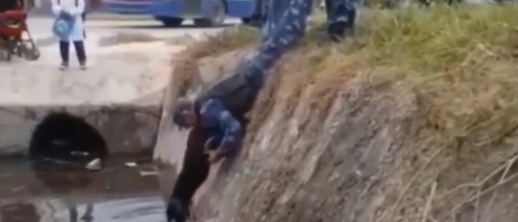 Video: el emocionante rescate de policías a un perro que cayó a un zanjón