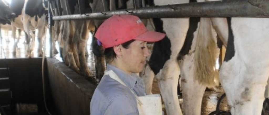 La propuesta de Fern&aacute;ndez Sagasti para que la leche y pan sean m&aacute;s baratos