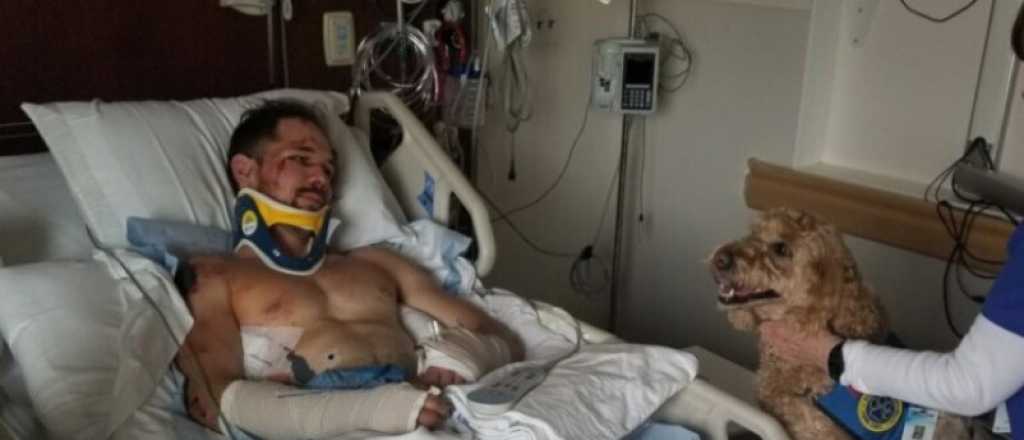 Video: montañista cayó desde 20 metros de altura y se salvó de suerte