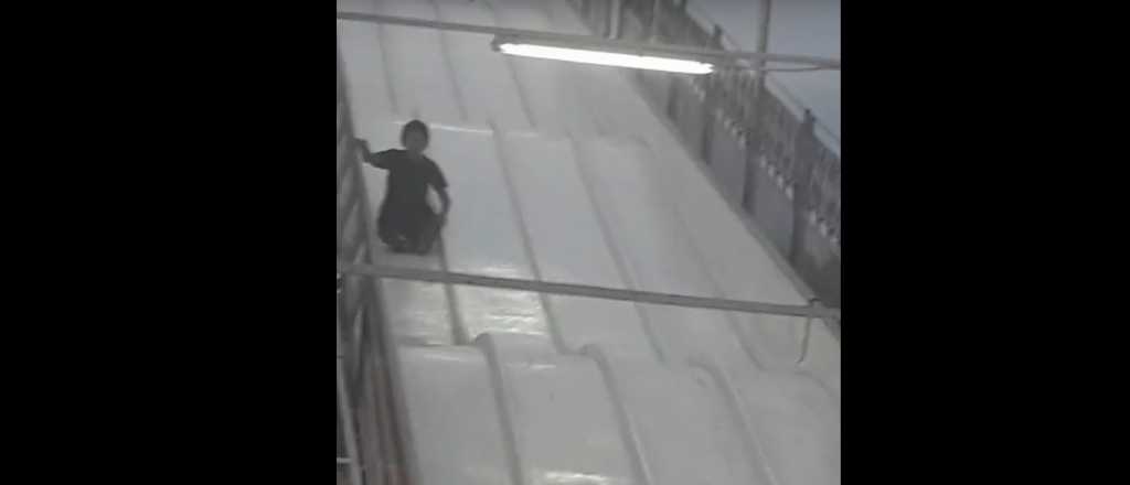 Video: la felicidad de un nene al tirarse por "la alfombra mágica" de Mendoza