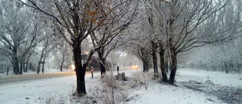 El blanco de la nieve llegó a distintos lugares de Mendoza