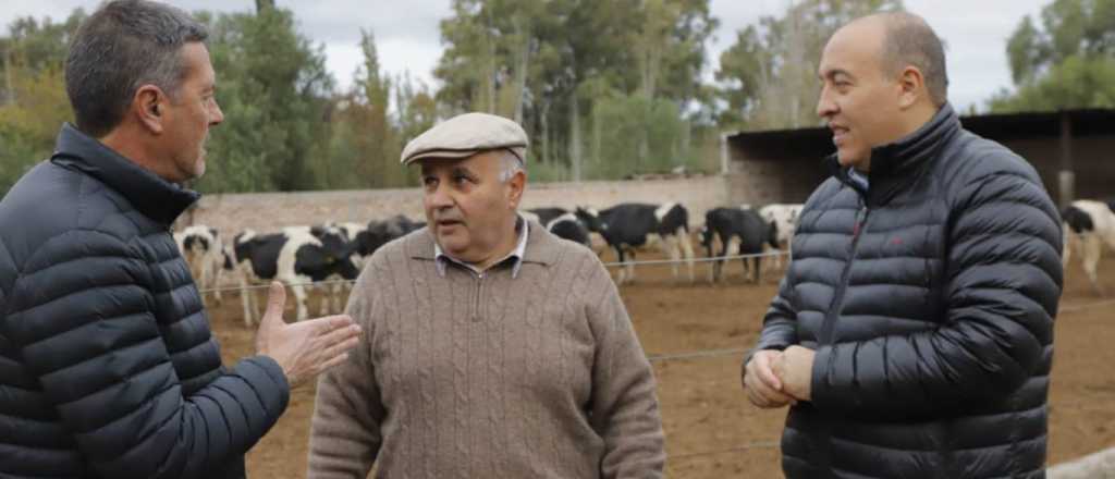 Voto y crisis: las peripecias del lechero más famoso de Mendoza